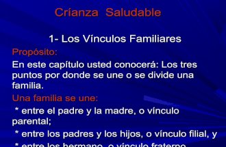 Los Vínculos Familiares  : Por Pastor y Psicólogo Clínico,Pablo Logis Gonzalez.