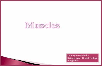 Muscle - Dr Sanjana ravindra