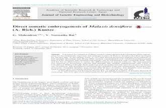Direct somatic embryogenesis of Malaxis densiflora (A ... · Direct somatic embryogenesis of Malaxis densiﬂora (A. Rich.) Kuntze G. Mahendrana,b,*, V. Narmatha Baib aPlant Biotechnology