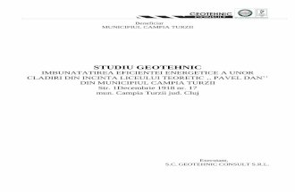 STUDIU GEOTEHNIC - campiaturzii.ro · Normativ privind proiectarea geotehnica a fundatiilor pe piloti –fundatii indirecte NP 120 – 2014 Normativ privind cerinţele de proiectare,