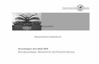Beispielbild - ewi-psy.fu-berlin.de · Ein ereigniskorreliertes Potential (EKP) ist durch eine Folge von Komponenten charakterisiert, die durch die a) Latenz, b) Amplitude und c)