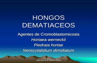 HONGOS DEMATIACEOS - ecaths1.s3.amazonaws.comecaths1.s3.amazonaws.com/hongos/1291746626.Clase 8.Hongos dematiaceos.pdf · Fabiola E Gonzalez C 2 Agentes de Cromoblastomicosis •