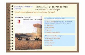 tema 3 (I) Els sectors primari i secundari a Catalunya · Tema 3 (I): El sector primari i secundari a Catalunya En aquest tema aprendràs que : El sector primari és el que obté