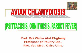Prof. Dr./ Wafaa Abd El-ghany Professor of Poultry Dis ...scholar.cu.edu.eg/?q=wafaaabdelghany/files/chlamydiosis_1.pdfFancy and caged birds, turkeys, ducks, geese, pigeons, and ostriches