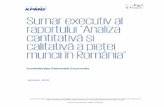 Sumar executiv al raportului Analiza cantitativă și ... Sumar executiv 20190110.pdfSumar executiv al raportului “Analiza cantitativă și calitativă a pieței muncii în România”