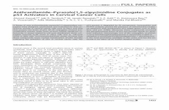 AnthranilamidePyrazolo[1,5a]pyrimidine Conjugates as p53 ... file7-(3,4,5-trimethoxyphenyl)pyrazolo[1,5-a]pyrimidin-5-yl)(4-(2- (thiophen-2-ylmethylamino)benzoyl)piperazin-1-yl)methanone,