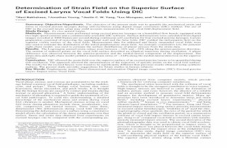 Determination of Strain Field on the Superior Surface of Excised Larynx Vocal Folds Using DIC