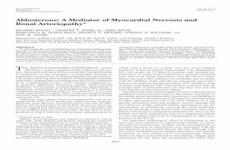 Aldosterone: A Mediator of Myocardial Necrosis and Renal Arteriopathy