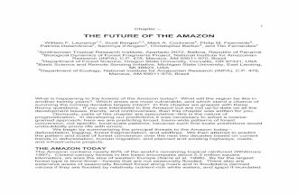 THE FUTURE OF THE AMAZON