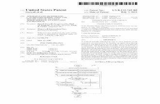 APPLICATIONS IN AN EXECUTION FOREIGN PATENT DOCUMENTS Assistant Examiner * Mark Gooray