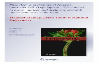 Phenology and damage of Anarsia lineatella Zell. (Lepidoptera: Gelechiidae) in peach, apricot and nectarine orchards under semi-arid conditions