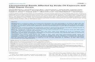 Chromosomal Bands Affected by Acute Oil Exposure and DNA Repair Errors