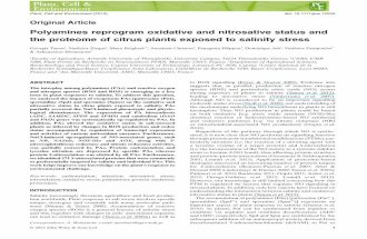 Polyamines reprogram oxidative and nitrosative status and the proteome of citrus plants exposed to salinity stress