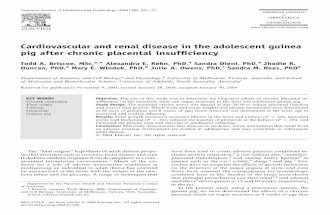 Cardiovascular and renal disease in the adolescent guinea pig after chronic placental insufficiency