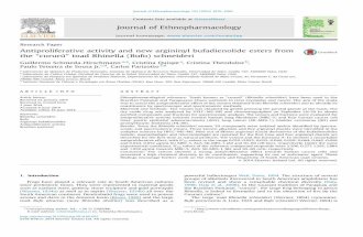 Antiproliferative activity and new argininyl bufadienolide esters from the “cururú” toad Rhinella (Bufo) schneideri