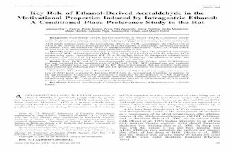 Key Role of Ethanol-Derived Acetaldehyde in the Motivational Properties Induced by Intragastric Ethanol: A Conditioned Place Preference Study in the Rat