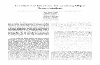 Sensorimotor processes for learning object representations