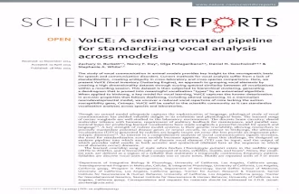 VoICE: A semi-automated pipeline for standardizing vocal analysis across models
