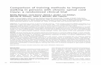 Comparison of training methods to improve walking in persons with chronic spinal cord injury: a randomized clinical trial