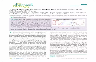A Small Molecule Bidentate-Binding Dual Inhibitor Probe of the LRRK2 and JNK Kinases