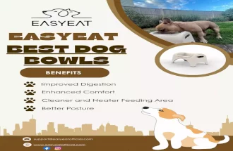 EasyEat's Best Dog Bowls: Quality, Comfort, and Style