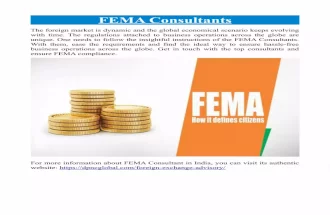 FEMA Consultants