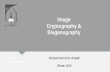 Image Cryptography and Steganography