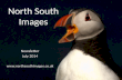 North South Images Newsletter July 2014