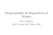 Steganography & Steganalysis of Images