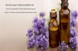 Natural essential oil manufacturer and suppliers