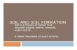 SOIL AND SOIL FORMATION - LACOE Moodle AND SOIL FORMATION Soil is a mixture of parent rock, decayed organic matter, minerals, water and air. ... Soil pH Soil color Soil structure