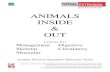 ANIMALS INSIDE OUT - Nebraska Extension 2.pdfWhy is it important that humans care for animals? Because they cannot care for ... symptoms you see? ... sick animals and animals that