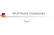 Multimedia Databases Text I. Outline Spatial Databases Temporal Databases Spatio-temporal Databases Multimedia Databases Text databases Image and video