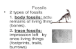 Fossils 2 types of fossils 2 types of fossils 1. body fossils: actual remains of living things (bones). 2. trace fossils: impression left by once living