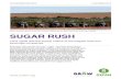 Sugar Rush: Land rights and the supply chains of the ... ... Tractors on a sugar cane plantation which