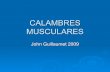 Calambres musculares revision 2009