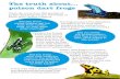poison dart frog - Durrell Wildlife Conservation Trust | golden poison dart frog is the most toxic land animal in the world? the world? Did you know after their tadpoles hatch in the