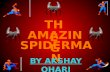 The Amazing Spiderman Presentation