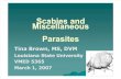 Scabies & Miscbrown
