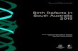 Birth Defects in South Australia page 2 Birth Defects in South Australia 2013 South Australian Birth