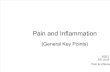 4ATI Flash Cards 04, Medications for Pain and Inflammation