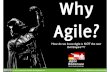 Why agile 2.0