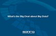 What's the big deal about big data