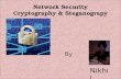 network security, cryptography,steganography