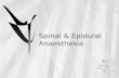 Aditi Panditrao's Spinal & epidural anaesthesia ug