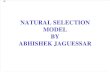 Natural Selection Model by Abhishek Jaguessar