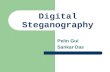 Steganography (1)