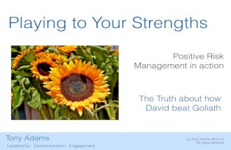 Positive Risk Management - &quot;Playing to Your Strengths&quot;