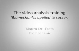 The video tracking analysis