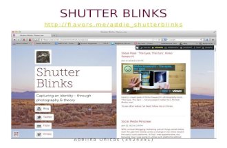 Shutter Blinks ID HUB